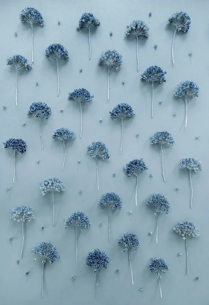 Flores Azuis Fundo Azul — Fotografia de Stock