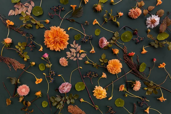 Composição Flores Folhas Vista Superior — Fotografia de Stock