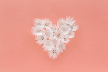 Pembe arka planda çiçeklerin beyaz kalp şekli