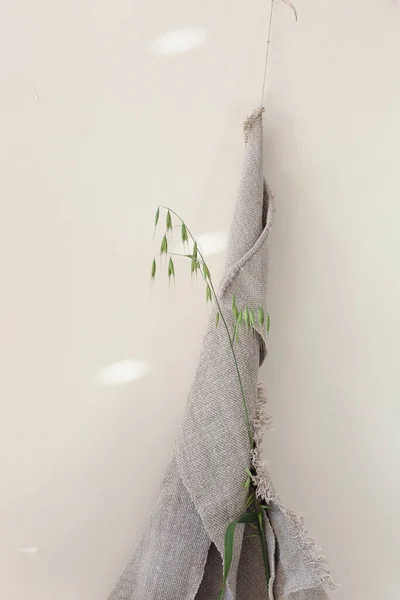 White Fabric Cloth Piece Green Grass Stem — Stock Photo, Image