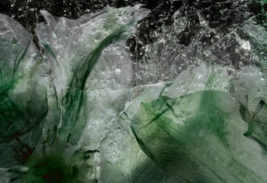 tam çerçeve resmi, sudaki soyut çiçek yaprağı arkaplanı 