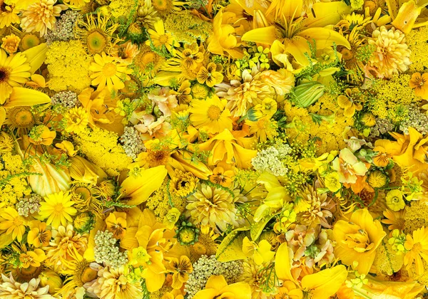 Petali Fiori Gialli Fiore Flora Botanica — Foto Stock