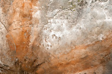 tam çerçeve resmi, soyut çiçek yaprağı arkaplanı