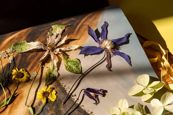 Different Dry Flowers Table — Stock Photo, Image