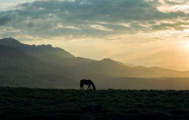 At dağ manzarasında