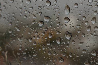 Yağmurlu bir günde sisli bir bardaktaki yağmur damlaları yumuşak renkli bir zemin oluşturur.