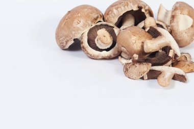 Şampiyon mantarlar, kahverengi çeşitlilik, sağ üst köşede beyaz bir yüzey üzerinde yazmak için yer var..