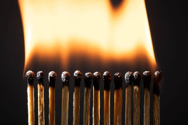 Ligne Allumettes Sans Distance Ils Sont Allumés Par Répandant Feu — Photo