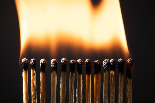 Line of matches without distance where they are lit one by one spreading the fire. The COVID-19 virus spreads the same if there is not enough distance between people