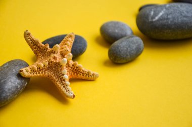 Denizcilik, Marrine konsepti. Taşlı denizyıldızı, kopyalama alanı olan sarı arka plana karşı. Yaz Bayramı