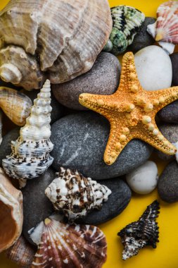 Denizcilik, Marrine konsepti. Fotokopi uzayı olan sarı arkaplana karşı deniz yıldızı. Çakıl taşları üzerinde deniz yıldızı yaz dokusu açısı görünümü