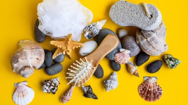 Çeşitli spa ürünleri, cilt bakımı aromateryalleri, yüz ve vücut bakımı için spa çevre dostu seti, banyoda doğal malzemeler. Tahta saç fırçası. Çevre dostu bakım ürünleri. Doğal güzellik.