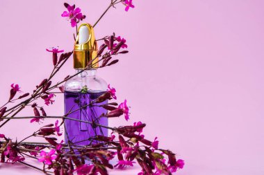 Özlü kaplıca şişesi kuru çiçekler ve pembe arka planda küçük pembe çiçekler, yakın plan, kopya alanı, cilt ürünleri, ev spa tedavisi için doğal kozmetik ürünleri