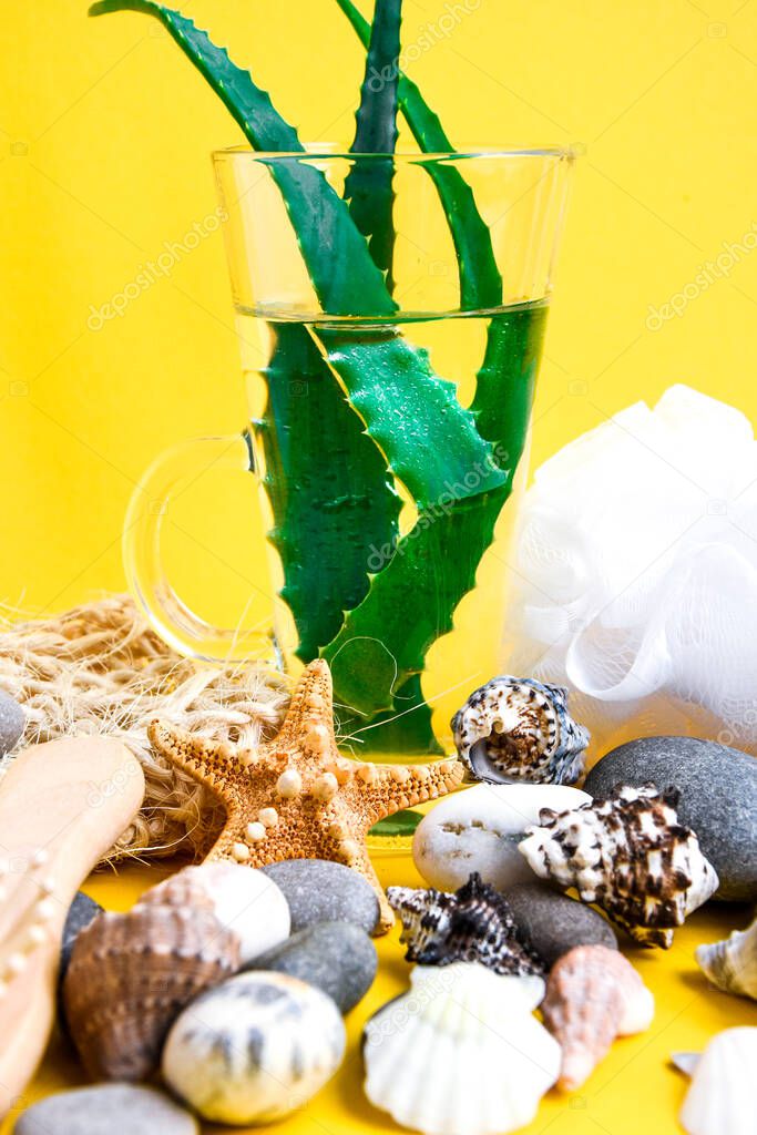 Glass of healthy aloe vera drink agains yellow background, copy space, spa relaxation vacation, fresh aloe vera leaf with sliced