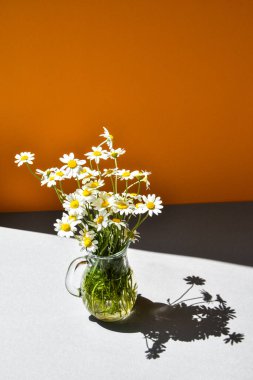 Turuncu ve gri arka planda cam vazoda güzel papatyalar, koyu gölgeler.