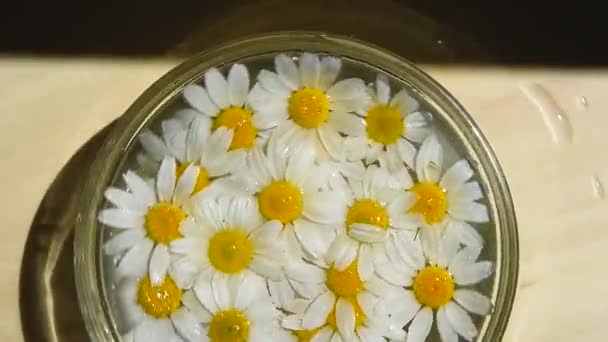Close Copo Branco Flores Camomila Nele Copo Preenchido Com Água — Vídeo de Stock