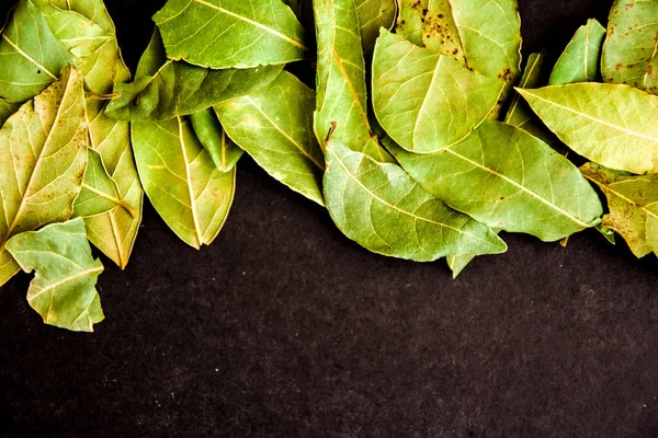 Photo of closeup green texture of bay leaf on black background, top view, copy space, green Dry bay laurel leaves