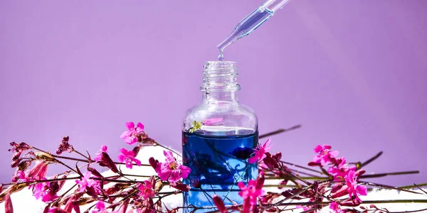 Conta Gotas Vidro Com Uma Gota Óleo Cosmético Flores Secas — Fotografia de Stock