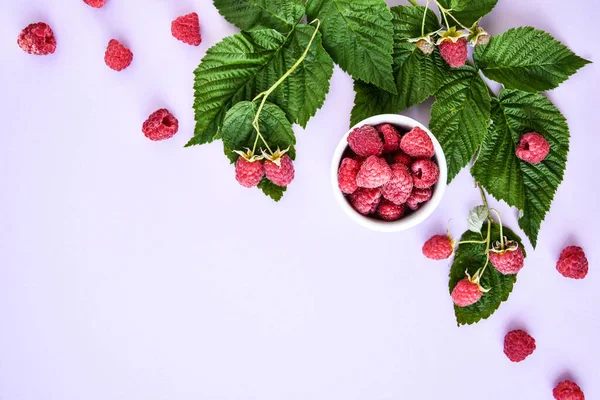 Red Fresh Raspberries Pink Background Bowl Natural Ripe Organic Berries — Stock Photo, Image