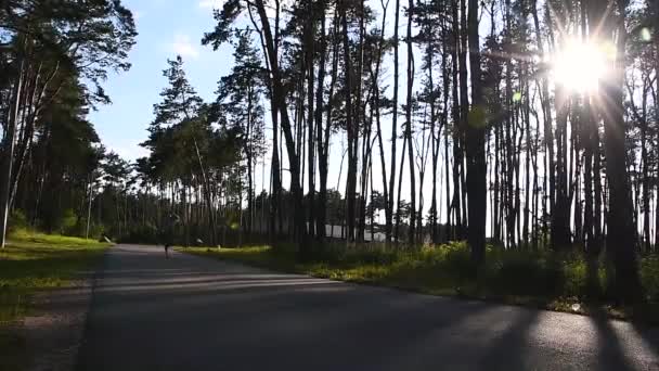 Naturaleza en forma. Chica de fitness se ejecuta en la luz de la noche. Una joven esbelta con un chándal corre en el parque a lo largo de la carretera bajo el sol. Mañana de verano fresca corriendo . — Vídeos de Stock