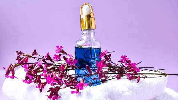 Glazen Druppelaar Met Een Druppel Cosmetische Olie Gedroogde Bloemen Kruiden — Stockfoto