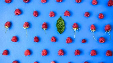 Mavi arka planda olgun kırmızı ahududu deseni. Organik ahududu ve yeşil yaprağın yaratıcı düzeni. Üstten mi düz mü? Vejetaryen yemeği, detoks konsepti