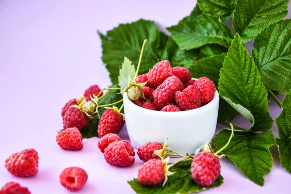 Ripe Red Raspberries White Bowl Green Leaves Pink Background Copy — Stock Photo, Image
