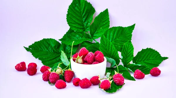 Ripe Red Raspberries White Bowl Green Leaves Pink Background Copy — Stock Photo, Image
