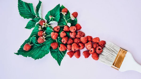 Creative Food Raspberry Background Paintbrush Ripe Red Raspberries Summertime Berries — Stock Photo, Image