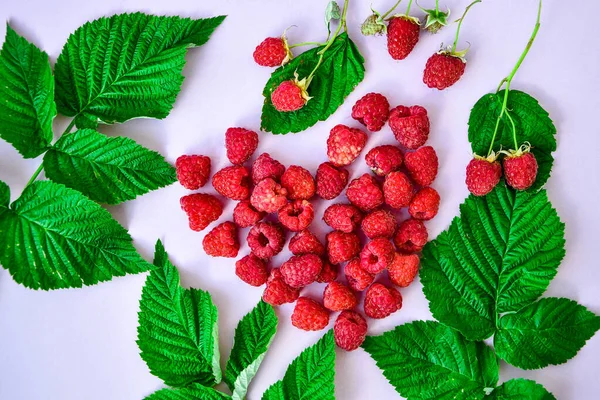 Beautiful Red Heart Made Raspberries Reen Leaves Laying Purple Backgroundsummertime — Stock Photo, Image