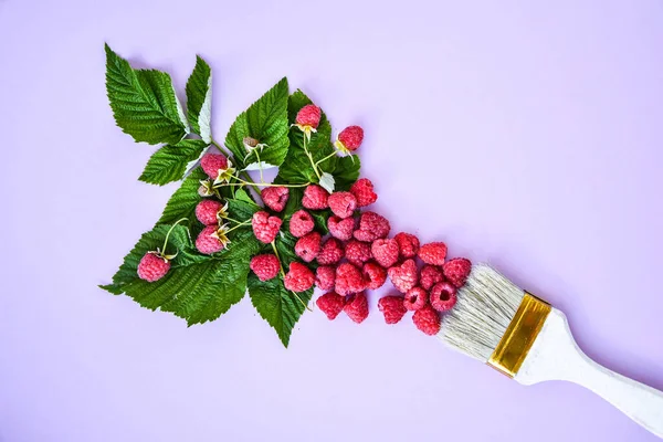Creative Food Raspberry Background Paintbrush Ripe Red Raspberries Summertime Berries — Stock Photo, Image