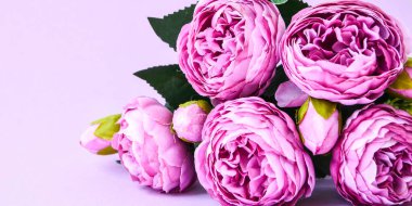 Pembe arka planda şakayıklar. Uzayı kopyala Pankart. Düğün tatili konsepti. Güzel pembe şakayık, çiçekli kompozisyon. Tebrik kartı. Selamlama, davetiye ve kartpostallar için arkaplan.