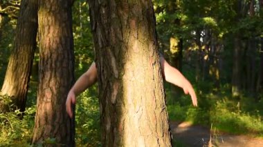 Çevreci, ormanda ağaca sarılıyor ve doğayı seviyor. Yetişkin beyaz kadın çevrecilerin elleri ormanda ağaç gövdesine dolanmış durumda..