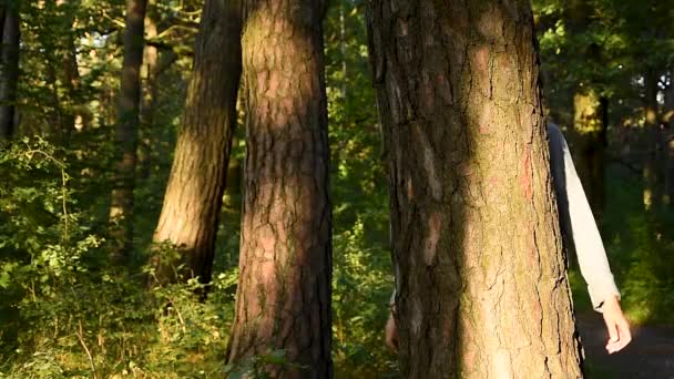 環境保護主義者は森の中で木を抱いており、自然を愛しています。大人の白人女性環境活動家の手は森の中の木の幹の周りに包まれている. — ストック動画