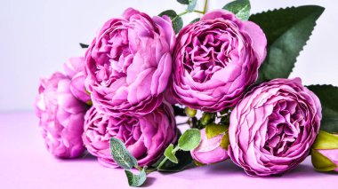 Pembe arka planda şakayıklar. Uzayı kopyala Pankart. Düğün tatili konsepti. Güzel pembe şakayık, çiçekli kompozisyon. Tebrik kartı. Selamlama, davetiye ve kartpostallar için arkaplan.