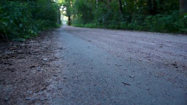 Kvinnan går på en grusväg. Flickan går genom parken. Närbild ben, en kvinna går. Stugor, naturälskare. Promenader i skogen flicka — Stockvideo