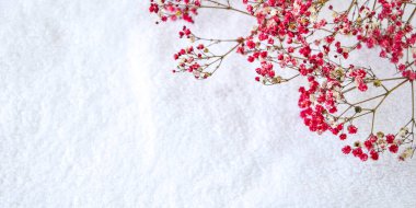 Temiz ve taze pamuk havlu, çiçek açan dallı spa tedavisi, fotokopi alanı, spa dekorasyonu. Sağlık spa salonu geçmişi. Pastel hassas yumuşak arkaplan