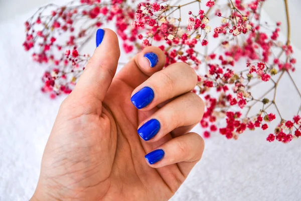 Hand Mit Blauen Nägeln Auf Getrockneten Blumen Hintergrund Weibliche Maniküre — Stockfoto