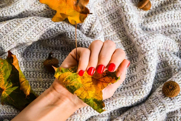 Ręka Czerwonymi Gwoździami Swetrze Jesień Przytulne Tło Kobiecy Manicure Wspaniały — Zdjęcie stockowe