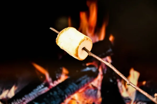 Two Marshmallows On A Stick Roasting Over Campfire On Black Background. Camping Summer Fun Concept. Autumn picnic