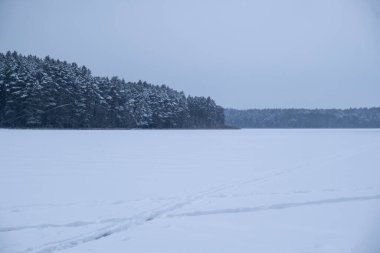 Kış tatili orman manzarası. Soğuk bir günde karla kaplı çayırların dramatik manzarası. Duvar kağıtları olağanüstü doğa görüntüsü. Mutlu yıllar ve mutlu noeller tebrik kartı. Boşluğu kopyala
