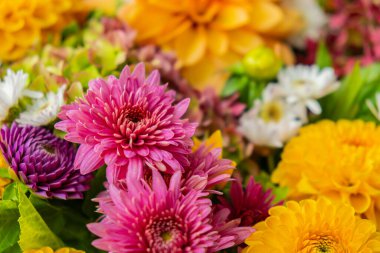Şükran Günü için sonbahar sonbahar buketi. Mevsimlik ılık renkli çiçek çiçekleri festival dekorasyonunu düzenler. Seçici odak 