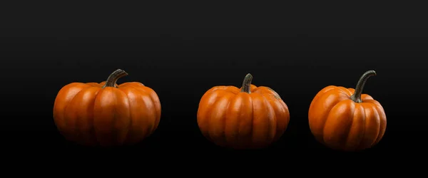 Mini Pumpkins Black Gradient Background — Stock Photo, Image