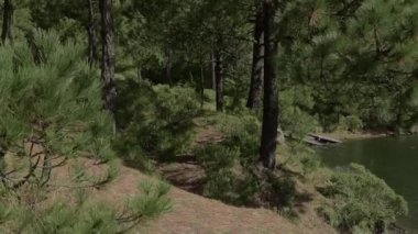 Aktif bir kadın dağda koşuyor, direniş eğitimi alıyor, sağlıklı bir yaşam tarzı için.