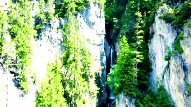 Water Fall Switzerland Alps — Stock Video