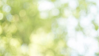 Bokeh ile bulanık doğa arkaplanı