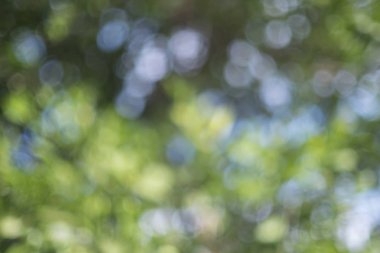 Bokeh ile bulanık doğa arkaplanı