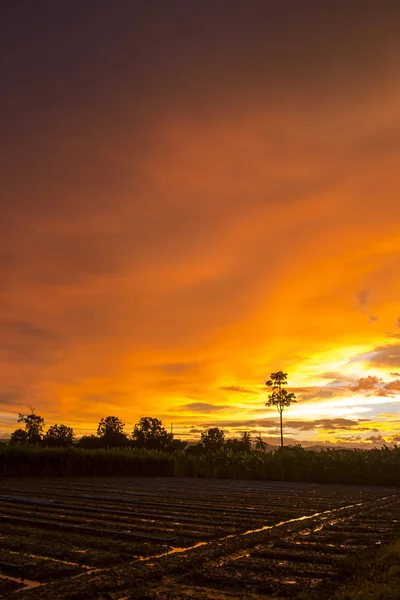 Оранжевое Облачное Небо Закате Пейзажи — стоковое фото