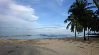 Sabah kumsalı, hindistan cevizi ağaçları ve kumlu plajlar