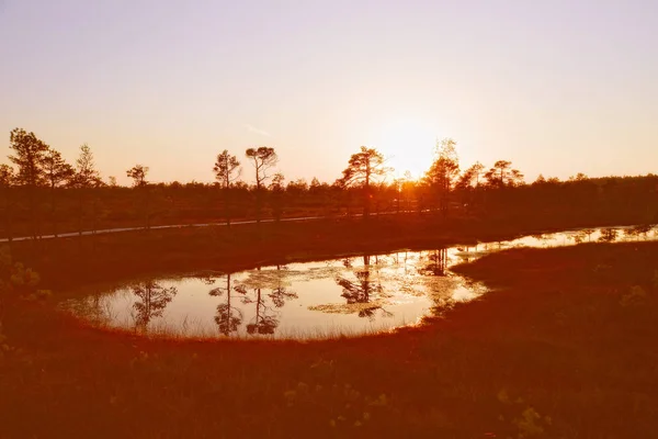 Lever Soleil Sur Lac Avec Reflet Des Arbres Dans Eau — Photo